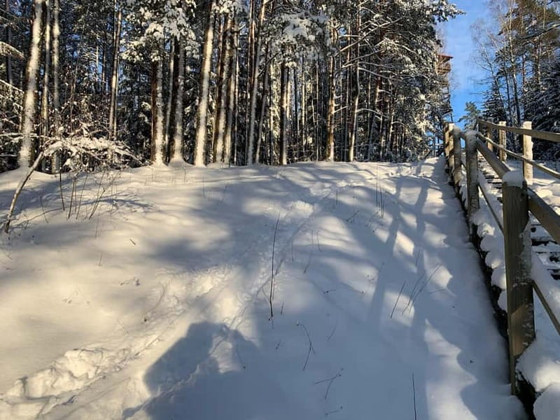 From Riga: Husky Sledding or Wheel Kart Tour - Who should book, and who should skip