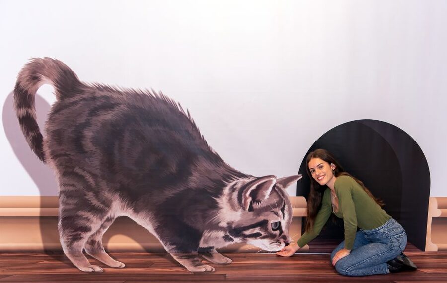 Funchal: 3D Fun Art Museum - A Relaxed Visit Flow: How Long It Takes and Why It Feels Easy