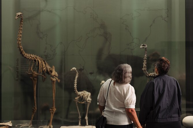 Gallery Highlights Tour and General Admission - The temporary closure: what Te Marae Ātea and Pacific Galleries mean for your plan