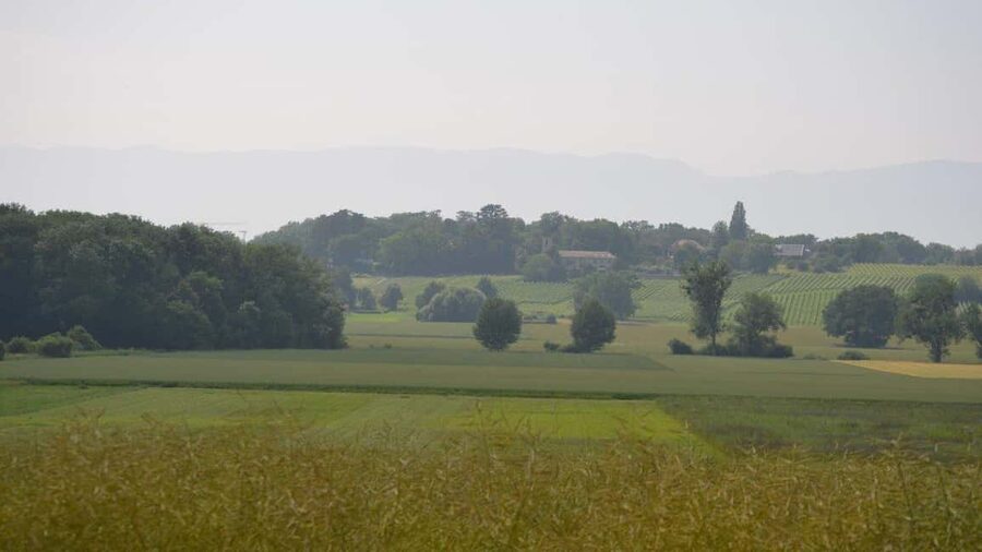 Geneva Countryside And Art Museum At A Castle Wine By E-Bike - The castle-style vineyard visit: archives, wine cellars, and the property tour