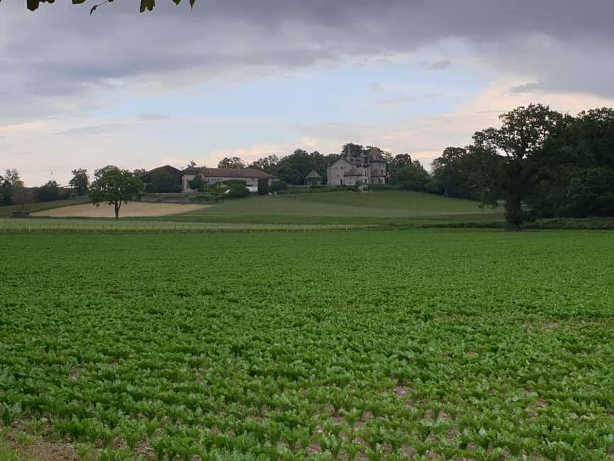 Geneva Countryside And Art Museum At A Castle Wine By E-Bike - Cycling logistics: small group flow and real-world limitations