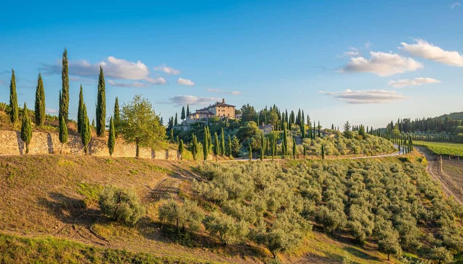 Golf Cart Tour: Express Highlights of Florence - Piazzale Michelangelo: The Most Iconic Photo Stop