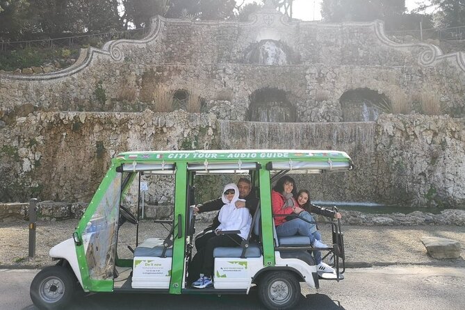 Golf Cart Tour to Fiesole Roman Theatre and Museum - Private Tour Setup: Comfort for Up to 4, Plus What Happens With Larger Groups