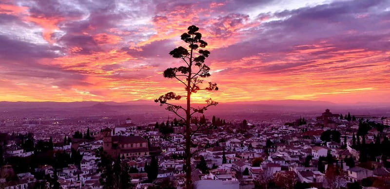 Granada: "Street Art & The Caves" Unique Guided Walking Tour - Should you book this Street Art & The Caves walk?
