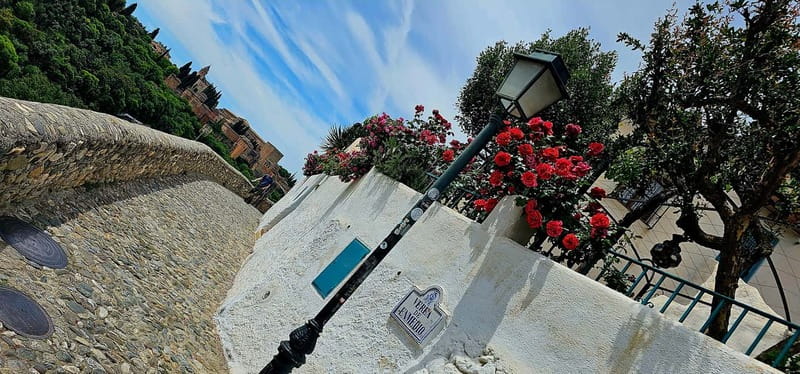 Granada: "Street Art & The Caves" Unique Guided Walking Tour - Realejo’s Street Art Trail and the El Niño de las Pinturas house