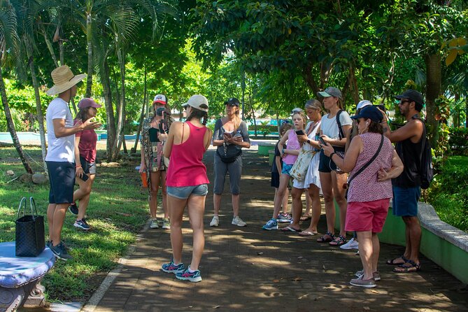 Guided Walking Street Art & Graffiti Tour in Jaco Costa Rica - What to expect on the ground (and how to prepare)