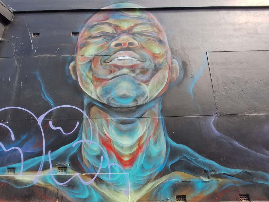 Hidden Adelaide: Laneways & Street Art Tour - The Guide’s Role: Dax and the Art-and-Artist Connection