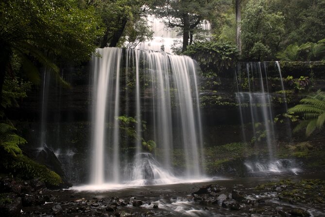 Hobart: Waterfalls, Wilderness & Wildlife - Active Day Tour - Mt Field National Park: where giant trees make scale obvious