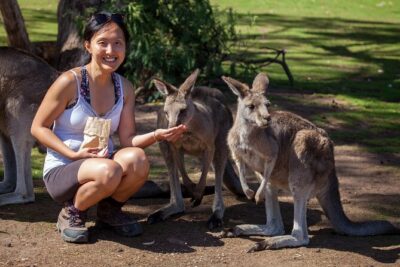 Hobart: Waterfalls, Wilderness & Wildlife - Active Day Tour - Russell Falls: easy walking and the waterfall that people can’t stop naming