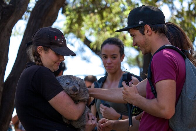 Hobart: Waterfalls, Wilderness & Wildlife - Active Day Tour - Bonorong Wildlife Sanctuary: native animals with an interpretive focus