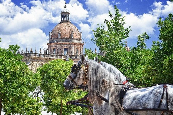 Jerez de la Frontera History and Art Walking Tour - Key things I’d plan around