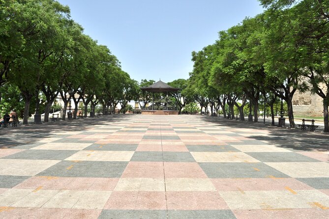 Jerez de la Frontera History and Art Walking Tour - Catedral de Jerez: A 17th-Century Style Mix