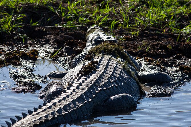 Kakadu National Park Wildlife & Ubirr Rock Art Tour from Darwin - Key things that make this Kakadu day trip worth your time