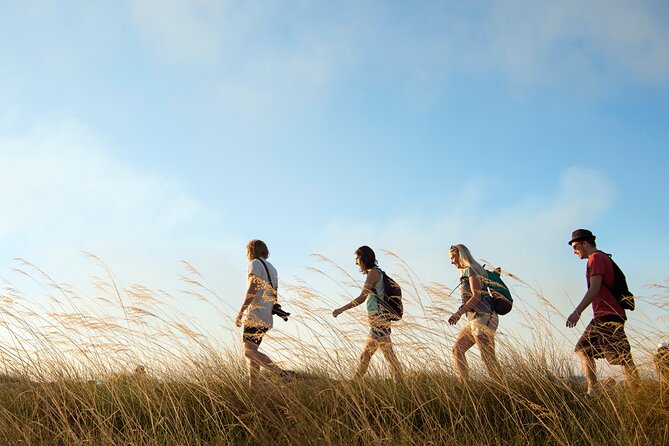 Kakadu National Park Wildlife & Ubirr Rock Art Tour from Darwin - Timing, comfort, and what to expect from the mini-coach