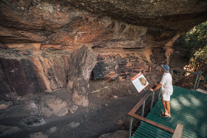 Kakadu National Park Wildlife & Ubirr Rock Art Tour from Darwin - The optional Jumping Crocodile Cruise on the Adelaide River