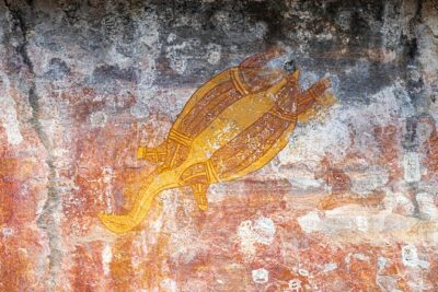 Kakadu National Park Wildlife & Ubirr Rock Art Tour from Darwin - Fogg Dam Conservation Reserve: birds first, big scenery second