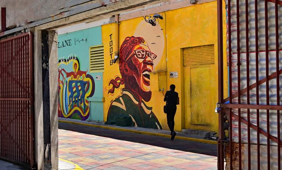 Kingston Creative: Mural Art Walking Tour - Should you book this Kingston Creative mural walk?