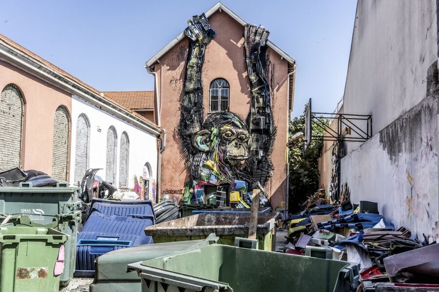 Lisbon: Street Art TukTuk Tour - Xabregas: Contemporary Street Art in a Less Expected Corner