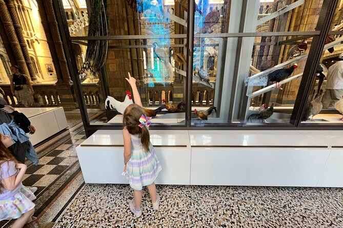 London Natural History Museum with Dinosaurs Gallery Private Tour for Kids - The Museum’s Other Giants: Whale Skeleton, Sequoia, and Birds