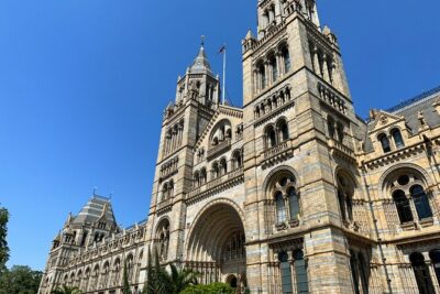 London Natural History Museum with Dinosaurs Gallery Private Tour for Kids - Dinosaur Gallery Time: T. rex and the Sea Croc Stories