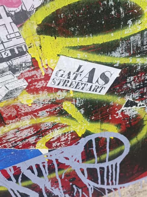 Lyon: Street Art in the Croix Rousse district - Interactive Questions, Clear Explanations, and the Tess Factor