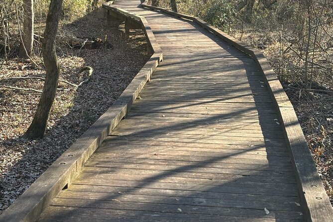 Magical Golf Cart Tour Through Peachtree City Trails - Stop 1: Lake Peachtree for wildlife sightings on an easy loop