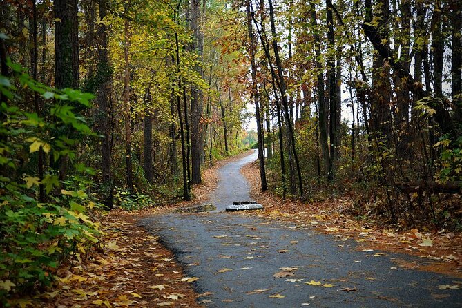 Magical Golf Cart Tour Through Peachtree City Trails - Stop 2: Flat Creek Nature Area and the boardwalk you can reach