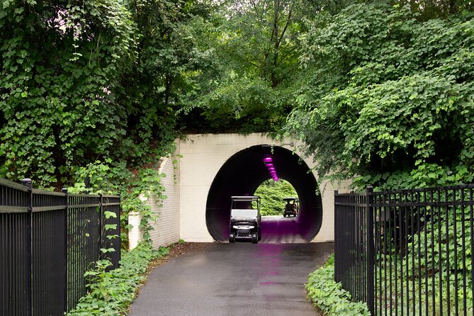 Magical Golf Cart Tour Through Peachtree City Trails - Price and group setup: $200 for up to five seats