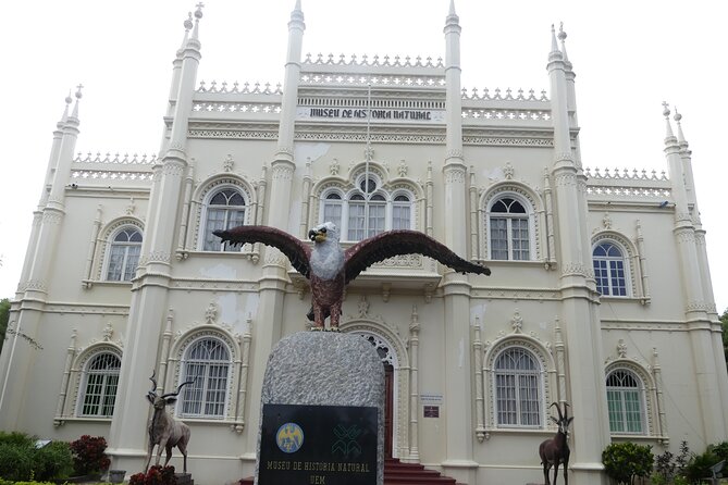 Maputo Art Walking Tour - Núcleo de Arte: where artists work right in front of you