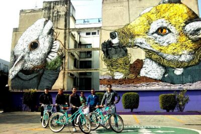 Mexico City: Art Naco, murals & street art bike tour - Pick Your Route: North, Downtown, or Coyoacán