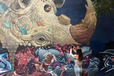 Mexico City Private Street Art Tour - The Route: 10–12 Blocks, Flat Terrain, and Stops That Teach You How to Look