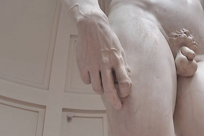 Michelangelo's David Accademia Gallery Small Group Tour - Piazza delle Belle Arti meeting point: get oriented fast