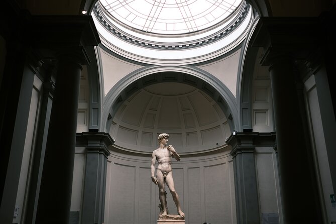 Michelangelo’s David & Medici Treasures Accademia Gallery Tour - Accademia’s David: the star, with context