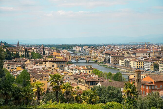 Michelangelo’s David & Medici Treasures Accademia Gallery Tour - Michelangelo and the Medici connection you can actually use