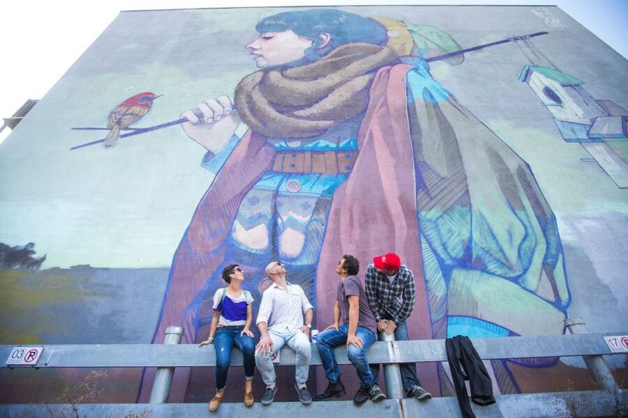 Montreal: Street Art & Mural 2-Hour Guided Walking Tour - Price and value: is $35 a good deal for 2 hours?