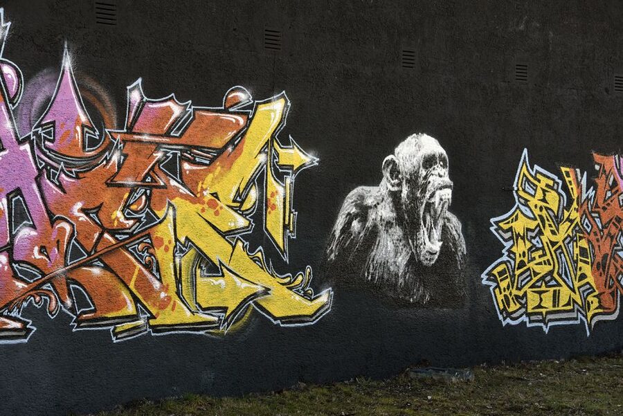 Munich: Street Art Bike Tour - Price and value: what $40 buys in real experience
