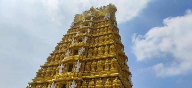 Mysore: Palace, Art Gallery & Devaraja Market Walking Tour - Price and Value: What $49 Gets You (and What It Avoids)