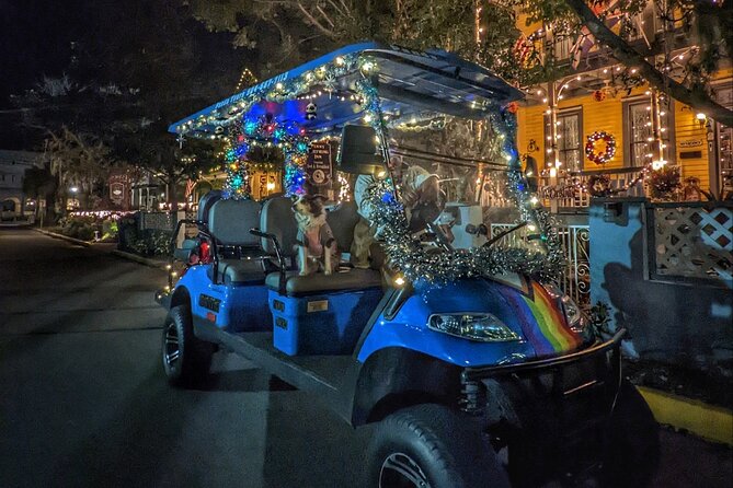 Nights of Lights Private Electric Joy Ride up to 5 people! - Things to Watch For (Rain, Wind, and Light Schedules)