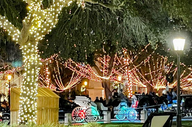 Nights of Lights Private Electric Joy Ride up to 7 People! - Who Should Book This Private Electric Ride