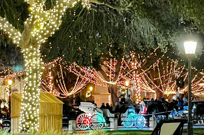 Nights of Lights Private Electric Joy Ride up to 7 People! - Potential Downsides: Lighting, Audio, and Busy-Street Delays