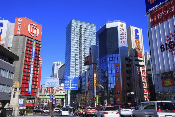 Official Street Go-Kart Tour - Akihabara - Key Highlights Worth Booking For