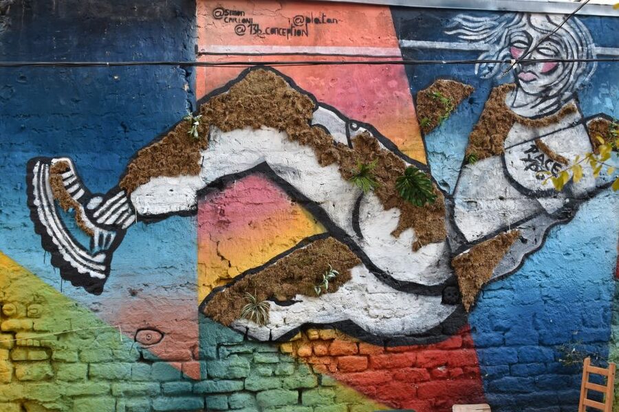 Paris: Belleville Street Art Tour with an Artist - Belleville’s Squat-to-Gallery Story (and Why It Matters)