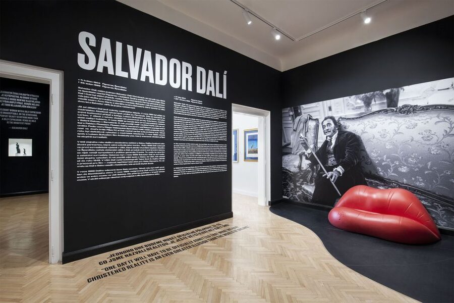 Prague: Central Gallery Ticket with Two Exhibitions - Ticket value: $12 for one or two major modern-art shows