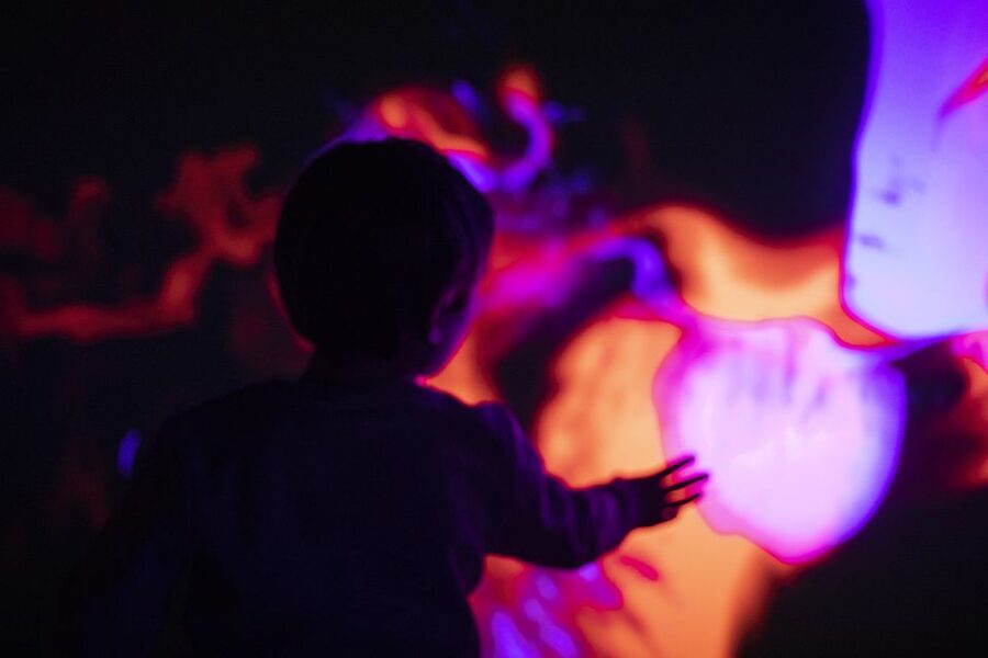 Prague: Ticket to Audiovisual Light Art at Lumia Gallery - Photo Beast and the Keep-Sake Moment