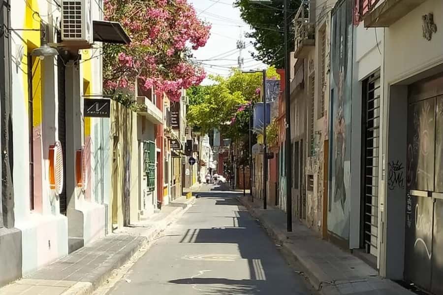 Premium Argentinian Wine and Malbec Tasting & Urban Art Tour - Key highlights to know before you go