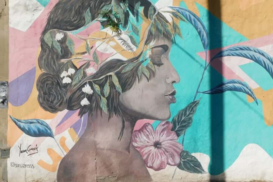 Premium Argentinian Wine and Malbec Tasting & Urban Art Tour - Palermo Soho on Foot: the neighborhood before the pour