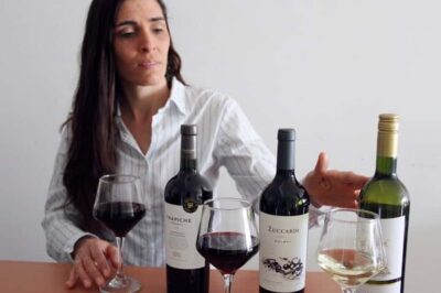 Premium Argentinian Wine and Malbec Tasting & Urban Art Tour - Urban Art History in Small Chunks (and what it means for your expectations)