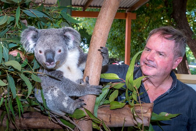 PRIVATE Blue Mountains Wilderness & Wildlife Late Start Tour - What makes the Blue Mountains feel different at 11:00 am
