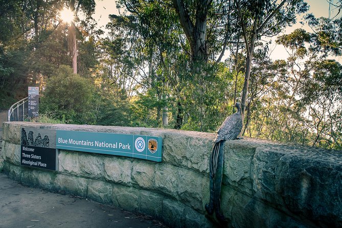 PRIVATE Blue Mountains Wilderness & Wildlife Late Start Tour - Getting up close at Calmsley Hill City Farm (and the koala moment)