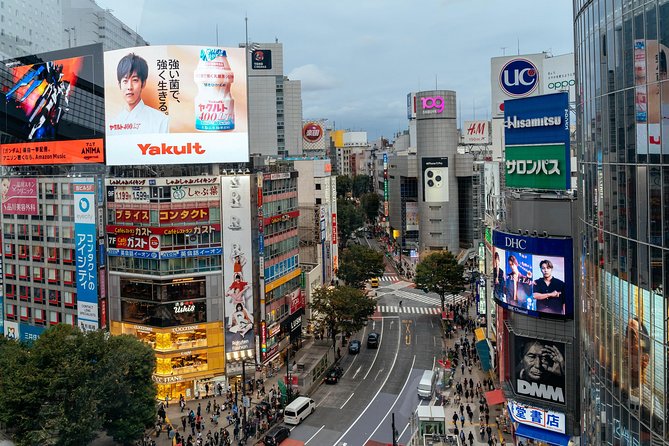 Private City Kickstart Tour: Tokyo - Transportation Tips You Can Use the Same Day